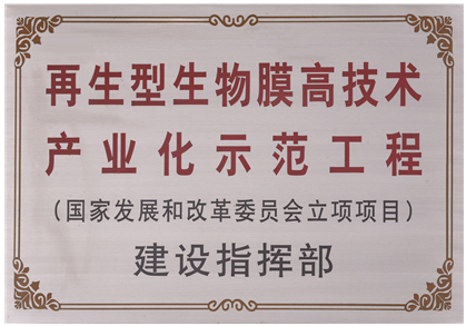 20210512110941e9 2009年1月